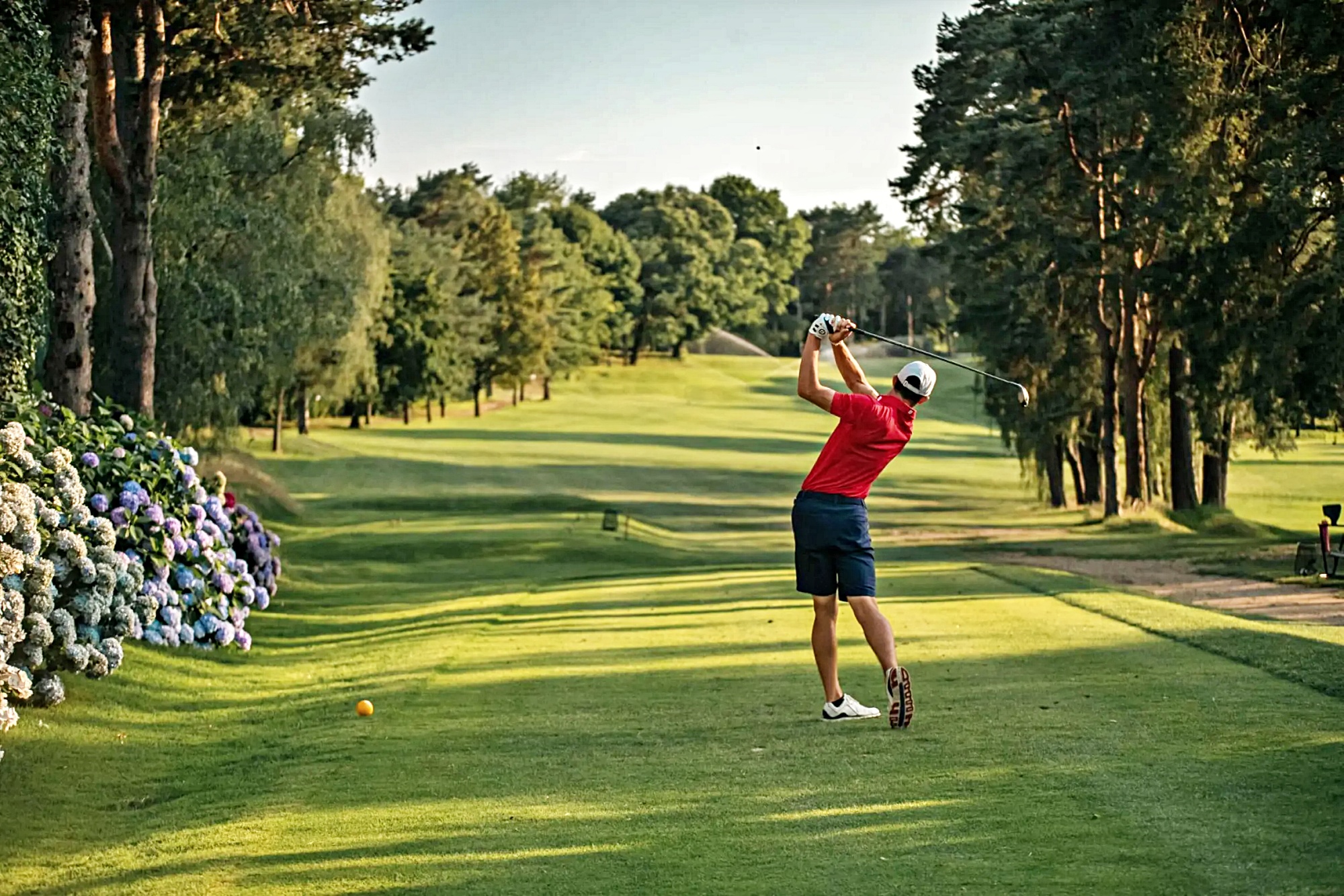 호텔 설명 이미지