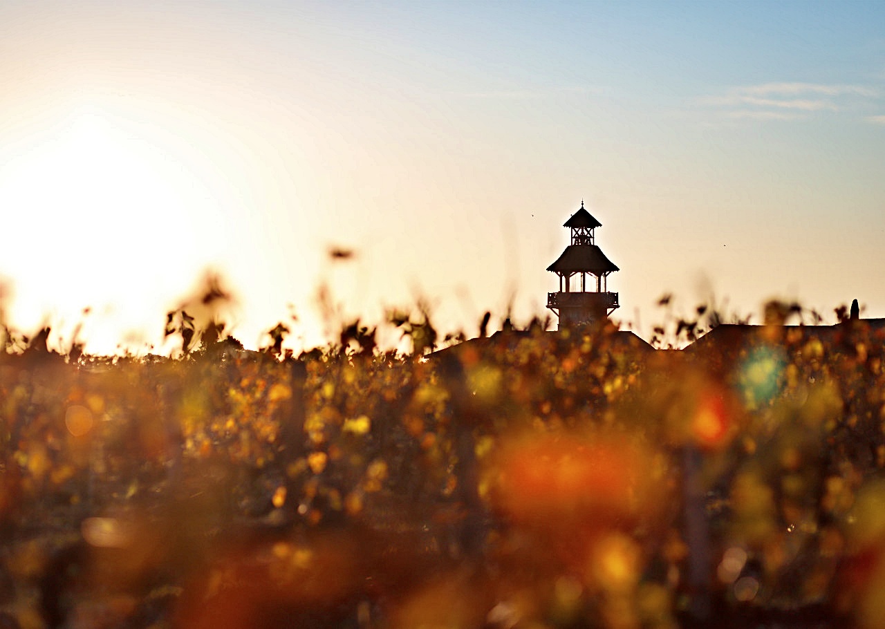 호텔 설명 이미지