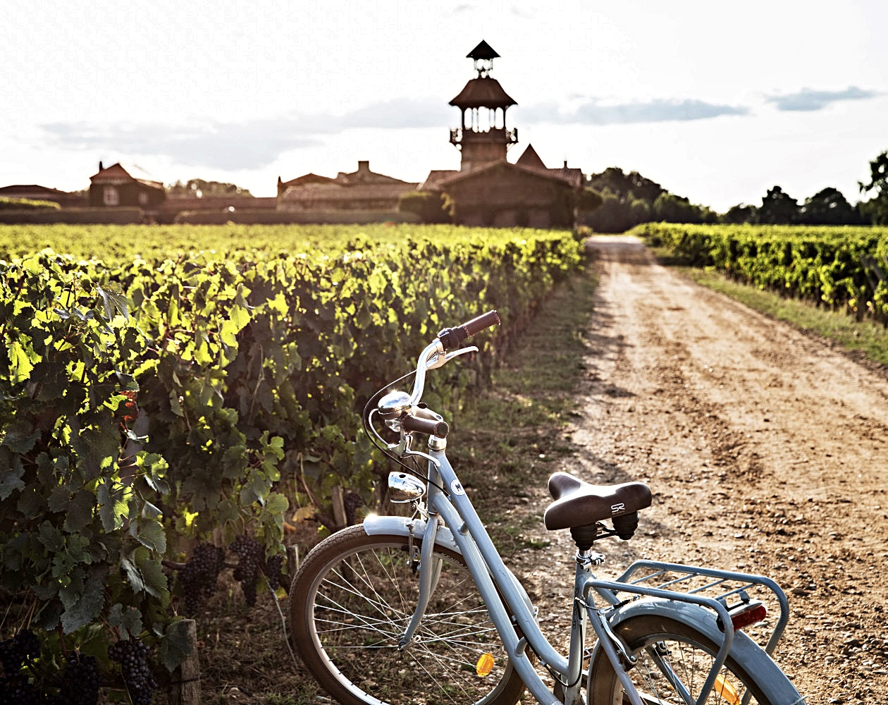 호텔 설명 이미지